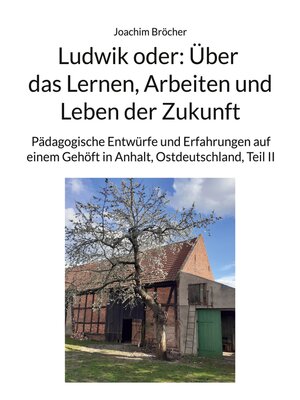 cover image of Ludwik oder--Über das Lernen, Arbeiten und Leben der Zukunft